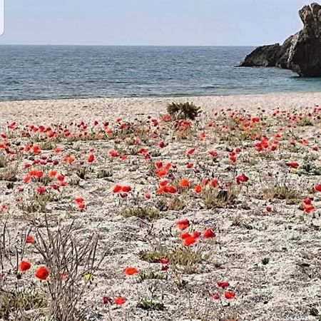 The Poppies Guest House - 100M Ocean - Private Spaces Candelaria Extérieur photo