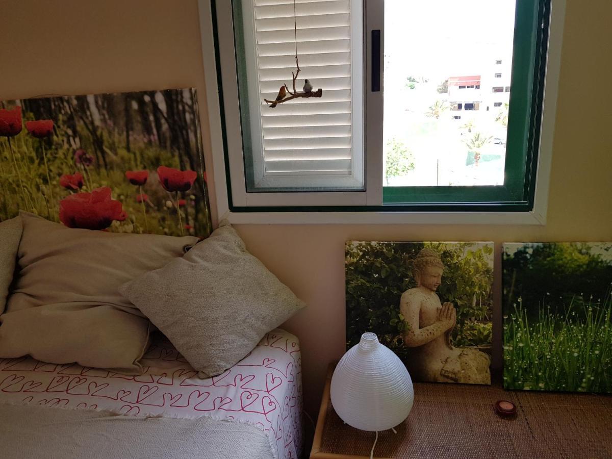 The Poppies Guest House - 100M Ocean - Private Spaces Candelaria Extérieur photo